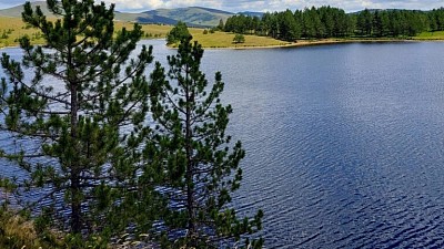 Lov i ribolov na Zlatiboru