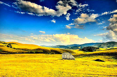 Bogata zlatiborska trpeza sa domaćom pršutom, sirom, kajmakom i vrućom lepinjom pečenom u peći na drva.  Tradicionalno poslužen doručak u seoskom domaćinstvu sa organskim proizvodima direktno sa zlatiborskih pašnjaka.  Sušenje domaće goveđe i svinjske pršute na tradicionalan način u autentičnoj zlatiborskoj pušnici na hladnom dimu.  Domaća pita savijača sa sirom i zeljem, pripremljena po starinskom receptu baka iz zlatiborskih sela.