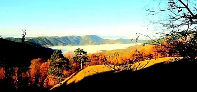 Turistička šetnja obeleženim planinskim stazama Zlatibora koje vode kroz šume i preko cvetnih proplanaka.  Porodični odmor u prirodi uz jahanje konja ili vožnju bicikla kroz najlepša sela zlatiborskog okruga.  Izletište pored bistrog planinskog potoka u selu, idealno za piknik i beg od gradske gužve i stresa.