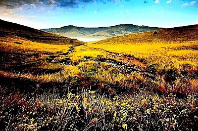 Оштре камене литице које се окомито спуштају ка долини прекривеној густом четинарском шумом  Пропланак засут пољским цвећем и лековитим биљем на обронцима Муртенице  Снопови светлости који се пробијају кроз стабла смрче и осветљавају шумску стазу  Површина планинског језера која попут огледала рефлектује околне врхове и плаво небо  Панорамски поглед на златна поља суве траве под ударима планинског ветра  Гране клеке са плавим плодовима које избијају из пукотина у сивом кречњаку