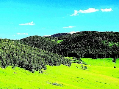 Високи врхови Муртенице прекривени плавкастом измаглицом у предвечерје  Сеоско двориште у Драглици са насложеним дрвима за зиму и пластовима сена  Пут који нестаје у густој планинској шуми док се изнад њега уздижу орлови  Цветни тепих љубичица и јагорчевине на ивици шуме у рано пролеће  Зидине старе камене куће која се полако стапа са природним окружењем  Узана клисура са брзим потоком који ствара белу пену преко камених прагова  Падина прекривена папрати која у јесен поприма јарку бакарну боју  Врхови четинара који штрче изнад густог слоја белих облака у долини  Мир забачених златиборских засеока где време као да је стало