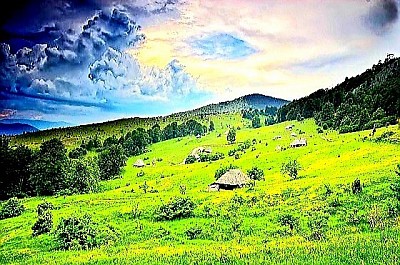 Оштар планински ваздух који прелама светлост изнад заснежених врхова у даљини  Црвени плодови шипка на дивљем жбуњу поред каменог зида старе планинске куће  Небо изнад Златибора препуно звезда изнад тамних силуета четинарске шуме  Трагови дивљачи у дубоком нетакнутом снегу који води ка густим густишима Муртенице  Бистри планински поток који гради мале водопаде преко глатког сивог камења  Пастирска колиба од камена и дрвета изолована на високом планинском пропланку Високи врхови Муртенице прекривени плавкастом измаглицом у предвечерје  Сеоско двориште у Драглици са насложеним дрвима за зиму и пластовима сена  Пут који нестаје у густој планинској шуми док се изнад њега уздижу орлови  Цветни тепих љубичица и јагорчевине на ивици шуме у рано пролеће  Зидине старе камене куће која се полако стапа са природним окружењем  Узана клисура са брзим потоком који ствара белу пену преко камених прагова  Падина прекривена папрати која у јесен поприма јарку бакарну боју  Врхови четинара који штрче изнад густог слоја белих облака у долини  Мир забачених златиборских засеока где време као да је стало