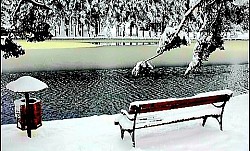 Златиборска села су жива нит која повезује славну прошлост са савременим добом, представљајући најлепши пример како се на планинским врлетима гради дом и чува породица. Свако златиборско село има своју јединствену боју и звук – од звона са цркава брвнара у златиборском селу Јабланица и Доброселица, до хука воде у златиборском селу Гостиље. Пут кроз ова златиборска села води вас кроз пределе где су се вековима укрштали каравански путеви и где су златиборска села попут Мачката и Бранешца постала симбол трговине и врхунског квалитета домаћих производа. У златиборском селу Сирогојно осетићете снагу народне уметности, док ће вам златиборско село Семегњево открити лепоту планинске тишине коју прекида само звук воденичног камена. Истражујући златиборска села, открићете да она нису само места становања, већ чувари најдубљих вредности златиборског човека: части, вредног рада и гостопримства које се не заборавља. Од питомих пашњака у златиборском селу Крива Река до високих шума Муртенице које окружују златиборско село Љубиш, свака стопа ове земље сведочи о лепоти живота који се рађа и траје у складу са планином. Златиборска села су истински чувари душе ове планине, где сваки камен и сваки пропланак причају причу о вековном трајању и непоколебљивом духу српског домаћина. У златиборским селима живот још увек тече у складу са ритмом природе, а гостопримство је светиња која се не нарушава. Било да зађете у златиборско село Мачкат, познато по мирису сушеног меса, или у Сирогојно, где златиборска села добијају своју уметничку форму кроз плетиље и старе брвнаре, осетићете исту топлину и добродошлицу. Ова златиборска села нису само места за живот, већ живи споменици културе у којима се и данас негују стари занати, народно градитељство и аутентична кухиња по којој је цео крај препознатљив. Разасута од сурових обронака Муртенице до питомих падина северне капије, златиборска села чине нераскидив мозаик предела који остављају без даха. Златиборско село Јабланица поносно чува једну од најлепших цркава брвнара, док златиборско село Гостиље својим величанственим водопадом подсећа на нестварну снагу планинске воде. Кроз златиборска села попут Рожанства и Љубиша пролазе путеви који воде ка лековитим бањама и бистрим рибњацима, пружајући посетиоцима савршен бег од савремене буке. Природа је у златиборским селима била издашна, дарујући им плодне пашњаке и бистре изворе, док су људи својим вредним рукама подигли златиборска села која данас представљају најлепшу разгледницу Србије. Архитектура и свакодневица коју нуде златиборска села представљају спој скромности и снаге, где дрво и камен граде нераскидиву везу са планином. Златиборско село Семегњево нуди мир поред старих воденица, док златиборско село Трипкова показује префињену страну заната кроз уметничко обликовање стакла. Свако златиборско село има своју тајну – у златиборском селу Крива Река то је нетакнута природа и плодно земљиште, док су златиборска села Негбина и Драглица симболи опстанка у највишим врлетима планине. Посета златиборским селима је повратак коренима, прилика да се окуси прави кајмак и пршута, али и да се кроз разговор са домаћинима открије мудрост која се у златиборским селима таложила генерацијама.