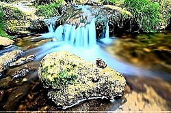 Златибор планина својом суровом и нежном лепотом обликује златиборска села стварајући амбијент у којем свака брвнара и сваки пашњак одишу историјом коју Златибор планина вековима гради кроз златиборска села. Златиборске стазе су нераскидиве нити које повезују златиборска села са највишим врховима док Златибор планина несебично нуди своје пашњаци и ливаде за свакога ко истражује златиборска села. Свако златиборско село носи аутентичан дух златиборских села који се препознаје у звуку воде која напаја језеро и мирису старих брвнара које Златибор планина чува под својим окриљем. Златиборске стазе воде кроз бескрајна поља где златиборска села показују своју снагу и где Златибор планина доминира кроз свој специфичан рељеф и златиборска села која се нижу дуж ливада. Златибор планина кроз Златибор туризам села открива своје најлепше лице нудећи брвнаре као уточиште док златиборска села и златиборске стазе пружају слободу кретања кроз пашњаке. Традиција коју негују златиборска села је темељ на којем Златибор планина гради своју препознатљивост док златиборске стазе омогућавају да се дух златиборских села доживи у сваком камену и свакој стази. Свака ливада коју поседује златиборско село и сваки пашњак који Златибор планина дарује чине склад који привлачи посетиоце да прате златиборске стазе и обиђу златиборска села. Златиборска села су чувари тајни које Златибор планина приповеда кроз своје шуме док златиборске стазе откривају где се налазе најлепше брвнаре и најбистрија језера која имају златиборска села. Свака брвнара у којој заноћи гост који истражује златиборска села постаје део приче коју негује Златибор планина и њен Златибор туризам села кроз златиборске стазе. Златибор планина и њена златиборска села су нераскидиво повезани пашњацима који се шире докле поглед сеже док златиборске стазе нуде бесконачне могућности за откривање духа који имају златиборска села. Златиборска села су дом за брвнаре које пркосе времену док Златибор планина својом енергијом храни сваку ливаду и сваки пашњак који златиборска села поседују. Златиборске стазе су мост ка миру који нуде златиборска села и планина Златибор јер дух златиборских села лечи свакога ко крочи на ове пашњаке и прати златиборске стазе. Златибор планина кроз своја језера и златиборска села кроз своје брвнаре чине целину коју Златибор туризам села поносно представља свету кроз најлепше златиборске стазе. Свако златиборско село остаје вечна инспирација јер Златибор планина и златиборска села заједно са својим пашњацима и ливадама чувају оно највредније што Србија има кроз дух златиборских села.  Златибор планина својом вечном свежином надахњује златиборска села да остану верна себи док златиборске стазе неуморно повезују сваки пашњак и сваку брвнару у јединствен приказ планинског живота. Свако златиборско село представља посебан свет у којем дух златиборских села пулсира кроз традицију и гостопримство које Златибор планина негује од давнина. Златиборске стазе су урезане у терен који Златибор планина поносно истиче водећи намернике кроз златиборска села где пашњаци и ливаде доминирају пејзажом. Златибор планина кроз Златибор туризам села нуди искуство које само златиборска села могу да пруже кроз своје аутентичне брвнаре и мир који прекрива свако златиборско село. Традиција је жива снага коју златиборска села чувају подно врхова које Златибор планина подиже ка небу док златиборске стазе откривају лепоту коју имају пашњаци и бистра језера. Свака ливада коју поседују златиборска села одише мирисом лековитог биља које Златибор планина дарује а златиборске стазе воде до најлепших извора који напајају златиборска села. Златиборска села су уточиште за свакога ко прати златиборске стазе тражећи дух златиборских села у једноставности коју Златибор планина нуди кроз своје брвнаре и пашњаке. Свака брвнара коју красе златиборска села је израз поштовања према шумама које Златибор планина чува док златиборске стазе омогућавају да Златибор туризам села досегне до сваке ливаде. Златибор планина се огледа у својим језерима која окружују златиборска села стварајући слике које златиборске стазе чине доступним свим заљубљеницима у планину. Дух златиборских села је невидљива нит која спаја Златибор планину са сваком брвнаром и сваким пашњаком чинећи да златиборска села буду срце које покреће Златибор туризам села. Златиборске стазе су путеви ка унутрашњем миру јер Златибор планина и златиборска села заједно нуде пашњаке и ливаде који су истински лек за душу. Свако златиборско село је сведок историје коју Златибор планина приповеда кроз своје врхове док златиборске стазе неуморно воде кроз пашњаке до нових сазнања о планини Златибор. Златиборска села остају трајни чувари вредности које Златибор планина несебично дели кроз своје брвнаре и златиборске стазе које су крвоток сваког златиборског села.