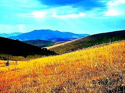 Златибор планина својом непролазном снагом и ширином обликује златиборска села стварајући амбијент у којем свака брвнара и сваки пашњак одишу историјом коју Златибор планина вековима гради кроз златиборска села. Златиборске стазе су нераскидиве нити које повезују златиборска села са највишим врховима док Златибор планина несебично нуди своје пашњаке и ливаде за свакога ко истражује златиборска села. Свако златиборско село носи аутентичан дух златиборских села који се препознаје у звуку воде која напаја језеро и мирису старих брвнара које Златибор планина чува под својим окриљем. Златиборске стазе воде кроз бескрајна поља где златиборска села показују своју снагу и где Златибор планина доминира кроз свој специфичан рељеф и златиборска села која се нижу дуж ливада. Златибор планина кроз Златибор туризам села открива своје најлепше лице нудећи брвнаре као уточиште док златиборска села и златиборске стазе пружају слободу кретања кроз пашњаке. Традиција коју негују златиборска села је темељ на којем Златибор планина гради своју препознатљивост док златиборске стазе омогућавају да се дух златиборских села доживи у сваком камену и свакој стази. Свака ливада коју поседује златиборско село и сваки пашњак који Златибор планина дарује чине склад који привлачи посетиоце да прате златиборске стазе и обиђу златиборска села. Златиборска села су чувари тајни које Златибор планина приповеда кроз своје шуме док златиборске стазе откривају где се налазе најлепше брвнаре и најбистрија језера која имају златиборска села. Свака брвнара у којој заноћи гост који истражује златиборска села постаје део приче коју негује Златибор планина и њен Златибор туризам села кроз златиборске стазе. Златибор планина и њена златиборска села су нераскидиво повезани пашњацима који се шире докле поглед сеже док златиборске стазе нуде бесконачне могућности за откривање духа који имају златиборска села. Златиборска села су дом за брвнаре које пркосе времену док Златибор планина својом енергијом храни сваку ливаду и сваки пашњак који златиборска села поседују. Златиборске стазе су мост ка миру који нуде златиборска села и планина Златибор јер дух златиборских села лечи свакога ко крочи на ове пашњаке и прати златиборске стазе. Златибор планина кроз своја језера и златиборска села кроз своје брвнаре чине целину коју Златибор туризам села поносно представља свету кроз најлепше златиборске стазе. Свако златиборско село остаје вечна инспирација јер Златибор планина и златиборска села заједно са својим пашњацима и ливадама чувају оно највредније што Србија има кроз дух златиборских села.   Златибор планина својом суровом и нежном лепотом обликује златиборска села стварајући амбијент у којем свака брвнара и сваки пашњак одишу историјом коју Златибор планина вековима гради кроз златиборска села. Златиборске стазе су нераскидиве нити које повезују златиборска села са највишим врховима док Златибор планина несебично нуди своје пашњаци и ливаде за свакога ко истражује златиборска села. Свако златиборско село носи аутентичан дух златиборских села који се препознаје у звуку воде која напаја језеро и мирису старих брвнара које Златибор планина чува под својим окриљем. Златиборске стазе воде кроз бескрајна поља где златиборска села показују своју снагу и где Златибор планина доминира кроз свој специфичан рељеф и златиборска села која се нижу дуж ливада. Златибор планина кроз Златибор туризам села открива своје најлепше лице нудећи брвнаре као уточиште док златиборска села и златиборске стазе пружају слободу кретања кроз пашњаке. Традиција коју негују златиборска села је темељ на којем Златибор планина гради своју препознатљивост док златиборске стазе омогућавају да се дух златиборских села доживи у сваком камену и свакој стази. Свака ливада коју поседује златиборско село и сваки пашњак који Златибор планина дарује чине склад који привлачи посетиоце да прате златиборске стазе и обиђу златиборска села. Златиборска села су чувари тајни које Златибор планина приповеда кроз своје шуме док златиборске стазе откривају где се налазе најлепше брвнаре и најбистрија језера која имају златиборска села. Свака брвнара у којој заноћи гост који истражује златиборска села постаје део приче коју негује Златибор планина и њен Златибор туризам села кроз златиборске стазе. Златибор планина и њена златиборска села су нераскидиво повезани пашњацима који се шире докле поглед сеже док златиборске стазе нуде бесконачне могућности за откривање духа који имају златиборска села. Златиборска села су дом за брвнаре које пркосе времену док Златибор планина својом енергијом храни сваку ливаду и сваки пашњак који златиборска села поседују. Златиборске стазе су мост ка миру који нуде златиборска села и планина Златибор јер дух златиборских села лечи свакога ко крочи на ове пашњаке и прати златиборске стазе. Златибор планина кроз своја језера и златиборска села кроз своје брвнаре чине целину коју Златибор туризам села поносно представља свету кроз најлепше златиборске стазе. Свако златиборско село остаје вечна инспирација јер Златибор планина и златиборска села заједно са својим пашњацима и ливадама чувају оно највредније што Србија има кроз дух златиборских села.