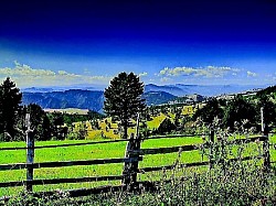 Златибор планина својом непролазном снагом и исконском лепотом изнова обликује златиборска села стварајући амбијент у којем свака брвнара и сваки пашњак одишу дубоком историјом коју Златибор планина вековима гради кроз златиборска села и златиборске стазе. Златиборске стазе су неуморни сведоци времена који повезују златиборска села са највишим врховима и најскривенијим увалама планине Златибор док Златибор планина несебично нуди своје пашњаке и простране ливаде за свакога ко одлучи да истражи златиборска села и доживи дух златиборских села у његовом најчистијем облику. Свако златиборско село носи своју аутентичност која се препознаје у жубору воде која напаја планинско језеро и мирису старих брвнара које Златибор планина чува под својим окриљем док златиборске стазе воде кроз бескрајна поља и густе четинарске шуме. Златиборска села показују своју истинску моћ и виталност тамо где Златибор планина доминира кроз свој специфичан рељеф и где се златиборска села нижу дуж цветних ливада које неуморно пресецају златиборске стазе нудећи невероватне видиковце. Златибор планина кроз Златибор туризам села открива своје најлепше и најплеменитије лице нудећи аутентичне брвнаре као топло уточиште док златиборска села и златиборске стазе пружају потпуну слободу кретања кроз бесконачне пашњаке и брда. Традиција коју негују златиборска села је чврст и непоколебљив темељ на којем Златибор планина гради своју светску препознатљивост док златиборске стазе омогућавају да се изворни дух златиборских села доживи у сваком камену свакој огради и свакој стази која води кроз златиборска села. Свака ливада коју поседује златиборско село и сваки пашњак који Златибор планина дарује чине савршен природни склад који мами путнике да прате златиборске стазе и обиђу свако златиборско село од Мачката до Јасенова. Златиборска села су истински чувари тајни и легенди које Златибор планина приповеда кроз своје шуме и планинске реке док златиборске стазе откривају где се налазе најлепше брвнаре и најбистрија језера која украшавају златиборска села. Свака брвнара у којој гост пронађе мир постаје део велике и светле слике коју негује Златибор планина и њен Златибор туризам села кроз златиборске стазе и гостопримство које златиборска села нуде сваком намернику. Златибор планина и њена златиборска села су нераскидиво повезани пашњацима који се шире докле год сеже људски поглед док златиборске стазе нуде безбројне путеве за откривање слободарског духа који имају златиборска села. Златиборска села су дом за старе брвнаре које пркосе годинама и оштрим зимама док Златибор планина својом лековитом енергијом напаја сваку ливаду и сваки пашњак који златиборска села љубоморно чувају за будућност. Златиборске стазе су најсигурнији мост ка унутрашњем миру који несебично нуде златиборска села и Златибор планина јер дух златиборских села истински лечи и обнавља свакога ко крочи на ове пашњаке и прати златиборске стазе дубоко у срце природе. Златибор планина кроз своја језера и златиборска села кроз своје брвнаре чине савршену целину коју Златибор туризам села поносно представља свету кроз најлепше и најуређеније златиборске стазе које пресецају ову планину. Свако златиборско село остаје вечна инспирација за све који траже лепоту јер Златибор планина и златиборска села заједно са својим пашњацима и ливадама чувају оно највредније што планина Златибор поседује у својим недрима. Златиборске стазе су поуздани водичи кроз нетакнуту природу где златиборска села нуде заслужени одмор а Златибор планина нуди снагу кроз свој лековити ваздух и бескрајне пашњаке. Дух златиборских села прожима сваку греду сваку брвнару и сваки камени пут док Златибор планина стражари над селима и стазама које чине Златибор туризам села најлепшим делом Србије и планине Златибор. Златиборска села и златиборске стазе су нераскидива веза коју Златибор планина свакодневно потврђује својом величанственом лепотом и миром који нуде пашњаци ливаде и брвнаре.  Златибор планина својом бесконачном снагом и природним богатством непрестано обликује златиборска села стварајући јединствен простор где свака брвнара и сваки пашњак причају причу коју Златибор планина вековима гради кроз златиборска села и златиборске стазе. Златиборске стазе су неуморни сведоци времена који повезују златиборска села са највишим врховима планине Златибор док Златибор планина несебично нуди своје пашњаке и ливаде за свакога ко одлучи да истражи златиборска села и осети дух златиборских села. Свако златиборско село носи своју аутентичност која се препознаје у звуку воде која напаја свако језеро и мирису старих брвнара које Златибор планина чува под својим окриљем док златиборске стазе воде кроз бескрајна поља. Златиборска села показују своју истинску снагу тамо где Златибор планина доминира кроз свој специфичан рељеф и где се златиборска села нижу дуж цветних ливада које пресецају златиборске стазе. Златибор планина кроз Златибор туризам села открива своје најлепше и најскривеније лице нудећи брвнаре као топло уточиште док златиборска села и златиборске стазе пружају потпуну слободу кретања кроз простране пашњаке. Традиција коју негују златиборска села је чврст темељ на којем Златибор планина гради своју светску препознатљивост док златиборске стазе омогућавају да се дух златиборских села доживи у сваком камену и свакој стази која води кроз златиборска села. Свака ливада коју поседује златиборско село и сваки пашњак који Златибор планина дарује чине савршен склад који мами посетиоце да прате златиборске стазе и обиђу свако златиборско село. Златиборска села су истински чувари тајни које Златибор планина приповеда кроз своје шуме и реке док златиборске стазе откривају где се налазе најлепше брвнаре и најчистија језера која красе златиборска села. Свака брвнара у којој гост заноћи постаје део велике слике коју негује Златибор планина и њен Златибор туризам села кроз златиборске стазе и гостопримство које нуде златиборска села. Златибор планина и њена златиборска села су нераскидиво повезани пашњацима који се шире докле год поглед сеже док златиборске стазе нуде бесконачне путеве за откривање духа који имају златиборска села. Златиборска села су дом за брвнаре које пркосе годинама док Златибор планина својом енергијом напаја сваку ливаду и сваки пашњак који златиборска села љубоморно чувају. Златиборске стазе су мост ка унутрашњем миру који нуде златиборска села и Златибор планина јер дух златиборских села истински лечи свакога ко крочи на ове пашњаке и прати златиборске стазе дубоко у шуму. Златибор планина кроз своја језера и златиборска села кроз своје брвнаре чине целину коју Златибор туризам села поносно представља свету кроз најлепше и најуређеније златиборске стазе. Свако златиборско село остаје вечна инспирација за уметнике и путнике јер Златибор планина и златиборска села заједно са својим пашњацима и ливадама чувају оно највредније што Златибор планина поседује. Златиборске стазе су водичи кроз нетакнуту природу где златиборска села нуде одмор а Златибор планина нуди снагу кроз свој ваздух и пашњаке. Дух златиборских села прожима сваку брвнару и сваки камени пут док Златибор планина стражари над селима и стазама које чине Златибор туризам села тако посебним делом планине Златибор. Златиборска села и златиборске стазе су нераскидива веза коју Златибор планина потврђује сваког дана својом лепотом и миром који нуде пашњаци и ливаде.