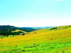 Златибор планина у својој готово метафизичкој слојевитости не представља само орографску целину, већ прецизно калибрисан биосистем у којем златиборска села делују као активни посредници између сирове снаге природе и човекове потребе за сигурношћу, док златиборске стазе функционишу као јединствени етнолошки вез који повезује камену подлогу са небеским простраствима. Опширно посматрано, дух златиборских села урезан је у сваку ручно тесану греду коју брвнаре поносно истичу, користећи дрво које је Златибор планина калила кроз деценије планинских олуја, чиме се осигурава структурна дуговечност и микроклиматска стабилност унутар сваког дома. Златиборске стазе овде преузимају улогу едукативних траса које мапирају пашњаке препуне ендемске флоре, док ливаде служе као природни инкубатори биодиверзитета који Златибор туризам села претвара у врхунско искуство повратка коренима.  Златибор планина поседује специфичан орографски карактер који омогућава да свако златиборско село развије своју изоловану али функционалну економију засновану на реципроцитету са земљом, где пашњаци представљају основу прехрамбеног суверенитета, а свака брвнара постаје центар прераде лековитог планинског биља и млечних производа. Детаљније анализирајући терен, уочавамо да златиборске стазе неретко прате трасе древних римских комуникација, што доказује да су златиборска села била стратешка места за опоравак и одмор много пре него што је Златибор планина постала модерна туристичка дестинација. Ливаде су у овом контексту живи архиви сеоске традиције, где свака подигнута пластина сена говори о заједничком труду који златиборска села улажу како би се припремила за дуге зиме које Златибор планина неумитно доноси.  Златибор туризам села данас користи управо ту вековну мудрост коју златиборска села чувају, нудећи посетиоцима брвнаре које су рестауриране по најстрожим стандардима традиционалног градитељства, чиме се дух златиборских села преноси на модерног човека жељног мира који нуде златиборске стазе. Свако језеро које Златибор планина крије у својим депресијама функционише као акустични амфитеатар који појачава тишину пашњака, стварајући осећај безвремености који је заједнички за сва златиборска села. Златиборске стазе нас даље воде до локалитета где се још увек може видети качарски занат у изворном облику, где златиборска села показују како се од дрвета које рађа Златибор планина праве судови који чувају свежину намирница без икаквих адитива.  Златибор планина је својом геологијом омогућила да ливаде буду препуне минерала који кроз испашу на пашњацима доспевају у органске производе које златиборска села поносно нуде, док златиборске стазе олакшавају транспорт тих добара до тржница где Златибор туризам села доживљава своју комерцијалну али и културну валоризацију. Опширно истраживање локалних обичаја открива да свака брвнара има своју централну просторију која је била срце социјализације, где се уз пламен огњишта препричавају предања о пореклу презимена која златиборска села чине тако специфичним. Златиборске стазе су често украшене старим каменим знамењима која су некада означавала границе између пашњака, подсећајући нас на ред и поштовање закона природе који Златибор планина вековима имплементира.  Коначно, Златибор планина и њена златиборска села, повезана нераскидивом мрежом коју чине златиборске стазе, представљају модел за будућност одрживог живљења, где брвнаре нуде комфор без девастације пејзажа, а пашњаци и ливаде остају плућа региона. Златибор туризам села није само економска категорија, већ духовна потреба да се разуме склад који Златибор планина нуди кроз своја златиборска села и стазе које никада не престају да изненађују својом лепотом. Свака нова златиборска стаза коју човек пређе је корак ближе разумевању како су златиборска села успела да победе време, ослањајући се на брвнаре и пашњаке као своје највредније ресурсе.  Златибор планина у својој готово бескрајној и монументалној егзистенцији представља специфичан метафизички и географски континуум у којем златиборска села делују као примарни чувари генетског и културног кода овог поднебља, док златиборске стазе функционишу као комплексни комуникациони канали који премошћују јаз између архаичног и модерног доба. Када се детаљно и опширно анализира морфолошка структура коју поседује Златибор планина, уочава се да свако златиборско село није самостална ниша, већ интегрални део ширег екосистема где пашњаци диктирају темпо живота, а ливаде служе као биолошка подлога за опстанак аутохтоних биљних врста које Златибор планина љубоморно чува. Златиборске стазе, које се протежу километрима кроз нетакнуте пределе, представљају резултат вековне адаптације човека на планински рељеф, омогућавајући да златиборска села остану повезана чак и у најтежим зимским условима када Златибор планина показује своју сурову страну кроз вијавице и наносе.  Опширно посматрано, дух златиборских села материјализован је кроз специфичан архитектонски израз који доминира пејзажом, где брвнаре подигнуте од столетних борова симболишу нераскидиву везу коју златиборска села имају са шумама које Златибор планина несебично пружа. Свака брвнара изграђена је са прецизним разумевањем аеродинамике и термоизолације, што омогућава да златиборска села буду енергетски ефикасна и одржива, чак и пре него што су ти термини постали део модерног речника који користи Златибор туризам села. Златиборске стазе воде посетиоца кроз различите вегетационе зоне, од густих четинарских шума до пространих ливада, где пашњаци препуни лековитог биља постају извор здравља и виталности за све који се одлуче да истраже дубине планине Златибор.  Златибор планина поседује јединствену геолошку подлогу која директно утиче на хемијски састав изворских вода које напајају златиборска села и формирају свако језеро на овој планинској површи, стварајући тако идеалне услове за Златибор туризам села који се све више ослања на еколошку свест и повратак природи. Свако златиборско село има своју микроисторију уклесану у камене темеље и дрвене зидове брвнара, док златиборске стазе служе као наративне нити које повезују легенде о краљевима и хајдуцима са савременим туристичким токовима. Ливаде су у овом контексту више од простог земљишта; оне су позорнице на којима се одвија вечна игра светлости и сенке коју Златибор планина приређује сваког јутра за своја златиборска села, док пашњаци представљају ресурс који омогућава да дух златиборских села остане виталан и пркосан у борби против времена и урбанизације.  Златиборске стазе су стратешки обележене како би посетиоцима пружиле увид у најинтимније делове које Златибор планина поседује, водећи их до тачака са којих се златиборска села виде као разбацани бисери по таласастом терену, док брвнаре својом сивом патином додају ноту достојанства читавом пејзажу. Златибор туризам села не би био потпун без разумевања традиције коју златиборска села баштине, а која се најбоље огледа у гастрономским специјалитетима припремљеним од сировина које су пашњаци и ливаде дали под окриљем сунца које Златибор планина неуморно привлачи. Свако језеро, сваки планински поток и свака златиборска стаза су део велике слагалице која чини идентитет који златиборска села поносно носе, показујући свету како Златибор планина може бити истовремено дивља и питома.  Инсистирајући на детаљима, можемо рећи да златиборске стазе нису само пешачке руте, већ путеви самоспознаје, јер када човек остане сам са планином Златибор на неком удаљеном пашњаку, он заправо открива дух златиборских села који почива на скромности и поштовању природних закона. Брвнаре, те тихе стражарке историје, и даље пркосе модерним материјалима, доказујући да златиборска села имају будућност само ако остану верна својим коренима које Златибор планина храбри сваким новим пролећем када ливаде процветају. Златибор планина и њена златиборска села, нераскидиво повезана кроз златиборске стазе, остају најважнији стуб који подупире Златибор туризам села, нудећи сваком госту прилику да кроз пашњаке и брвнаре доживи истинску катарзу. Овај склад који нуде златиборска села, планина Златибор и њене златиборске стазе, представља врхунац еколошке и културне баштине Србије.