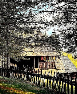 Златибор планина у својој готово метафизичкој слојевитости не представља само орографску целину, већ прецизно калибрисан биосистем у којем златиборска села делују као активни посредници између сирове снаге природе и човекове потребе за сигурношћу, док златиборске стазе функционишу као јединствени етнолошки вез који повезује камену подлогу са небеским простраствима. Опширно посматрано, дух златиборских села урезан је у сваку ручно тесану греду коју брвнаре поносно истичу, користећи дрво које је Златибор планина калила кроз деценије планинских олуја, чиме се осигурава структурна дуговечност и микроклиматска стабилност унутар сваког дома. Златиборске стазе овде преузимају улогу едукативних траса које мапирају пашњаке препуне ендемске флоре, док ливаде служе као природни инкубатори биодиверзитета који Златибор туризам села претвара у врхунско искуство повратка коренима.  Златибор планина поседује специфичан орографски карактер који омогућава да свако златиборско село развије своју изоловану али функционалну економију засновану на реципроцитету са земљом, где пашњаци представљају основу прехрамбеног суверенитета, а свака брвнара постаје центар прераде лековитог планинског биља и млечних производа. Детаљније анализирајући терен, уочавамо да златиборске стазе неретко прате трасе древних римских комуникација, што доказује да су златиборска села била стратешка места за опоравак и одмор много пре него што је Златибор планина постала модерна туристичка дестинација. Ливаде су у овом контексту живи архиви сеоске традиције, где свака подигнута пластина сена говори о заједничком труду који златиборска села улажу како би се припремила за дуге зиме које Златибор планина неумитно доноси.  Златибор туризам села данас користи управо ту вековну мудрост коју златиборска села чувају, нудећи посетиоцима брвнаре које су рестауриране по најстрожим стандардима традиционалног градитељства, чиме се дух златиборских села преноси на модерног човека жељног мира који нуде златиборске стазе. Свако језеро које Златибор планина крије у својим депресијама функционише као акустични амфитеатар који појачава тишину пашњака, стварајући осећај безвремености који је заједнички за сва златиборска села. Златиборске стазе нас даље воде до локалитета где се још увек може видети качарски занат у изворном облику, где златиборска села показују како се од дрвета које рађа Златибор планина праве судови који чувају свежину намирница без икаквих адитива.  Златибор планина је својом геологијом омогућила да ливаде буду препуне минерала који кроз испашу на пашњацима доспевају у органске производе које златиборска села поносно нуде, док златиборске стазе олакшавају транспорт тих добара до тржница где Златибор туризам села доживљава своју комерцијалну али и културну валоризацију. Опширно истраживање локалних обичаја открива да свака брвнара има своју централну просторију која је била срце социјализације, где се уз пламен огњишта препричавају предања о пореклу презимена која златиборска села чине тако специфичним. Златиборске стазе су често украшене старим каменим знамењима која су некада означавала границе између пашњака, подсећајући нас на ред и поштовање закона природе који Златибор планина вековима имплементира.  Коначно, Златибор планина и њена златиборска села, повезана нераскидивом мрежом коју чине златиборске стазе, представљају модел за будућност одрживог живљења, где брвнаре нуде комфор без девастације пејзажа, а пашњаци и ливаде остају плућа региона. Златибор туризам села није само економска категорија, већ духовна потреба да се разуме склад који Златибор планина нуди кроз своја златиборска села и стазе које никада не престају да изненађују својом лепотом. Свака нова златиборска стаза коју човек пређе је корак ближе разумевању како су златиборска села успела да победе време, ослањајући се на брвнаре и пашњаке као своје највредније ресурсе.  Златибор планина у својој монументалној егзистенцији не представља само обичан планински масив, већ сложен социо-биолошки феномен у којем златиборска села функционишу као живи организми, дубоко интеграни у природни поредак који Златибор планина диктира вековима кроз своје златиборске стазе. Када се детаљно анализира овај предео, уочава се да златиборска села нису настала случајно на својим локацијама; свака брвнара је постављена тако да искористи аеродинамичке специфичности које Златибор планина нуди, док златиборске стазе служе као дренажни и комуникациони канали који чувају пашњаке од деградације. Опширно посматрано, дух златиборских села материјализован је кроз јединствену културу становања где ливаде и пашњаци диктирају ритам свакодневице, а Златибор туризам села омогућава свету да доживи ову хармонију коју Златибор планина несебично пружа.  Детаљније истраживање занатске баштине открива да златиборска села чувају тајну израде шиндре – дрвеног кровног покривача који омогућава брвнарама да 