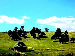 Златибор планина у својој архитектонској и психо-физичкој вертикали представља врхунац еволутивне симбиозе, где златиборска села чувају тајну конструктивне стабилности кроз специфичне тесарске технике које Златибор планина захтева својим суровим климатским условима. Када се детаљно и опширно анализира структура коју поседују брвнаре, посебан акценат се ставља на спој 