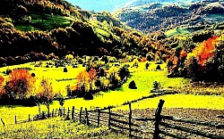 Златибор планина у својој готово надреалној и монументалној егзистенцији не представља само обичан планински масив, већ сложен социо-биолошки феномен у којем златиборска села функционишу као живи организми, дубоко интегрисани у природни поредак који Златибор планина диктира вековима кроз своје златиборске стазе. Када се детаљно анализира овај предео, уочава се да златиборска села нису настала случајно на својим локацијама; свака брвнара је постављена тако да искористи аеродинамичке специфичности које Златибор планина нуди, док златиборске стазе служе као дренажни и комуникациони канали који чувају пашњаке од деградације. Опширно посматрано, дух златиборских села материјализован је кроз јединствену културу становања где ливаде и пашњаци диктирају ритам свакодневице, а Златибор туризам села омогућава свету да доживи ову хармонију коју Златибор планина несебично пружа.    Детаљније истраживање занатске баштине открива да златиборска села чувају тајну израде шиндре – дрвеног кровног покривача који омогућава брвнарама да 