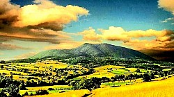 Златибор планина у својој готово метафизичкој и свеобухватној структури представља јединствен феномен где се еволуција природе и људског занатства стапају у нераскидив амалгам, при чему златиборска села делују као живи чувари архитектонског и биолошког наслеђа. Када се детаљно и опширно анализира материјална култура коју поседује Златибор планина, фокус неминовно пада на брвнаре грађене од 